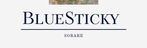 BlueSticky (paris93260) banner