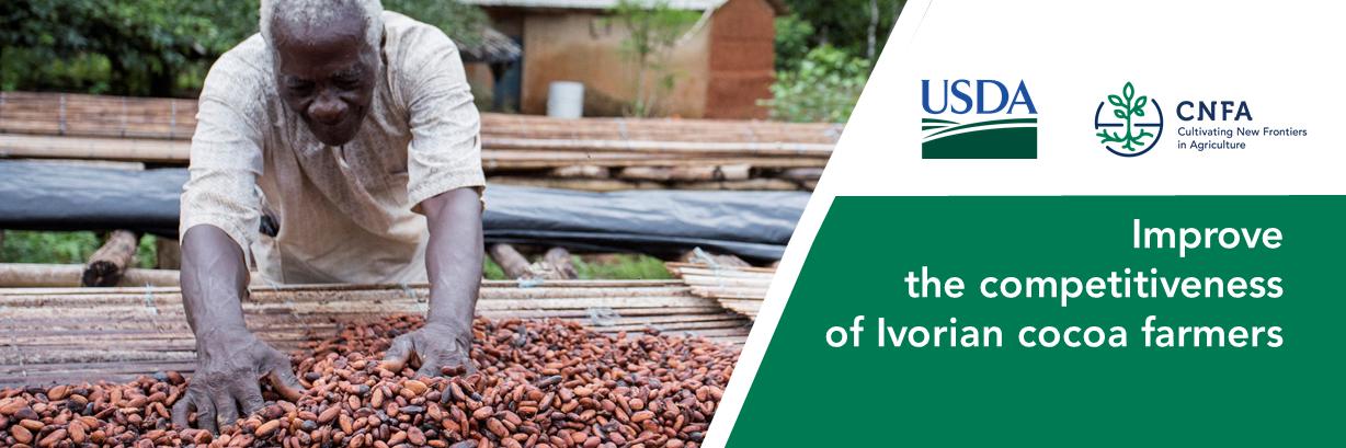 Maximizing Opportunities in Cocoa Activity banner