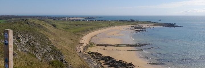 Samuel Cheney banner