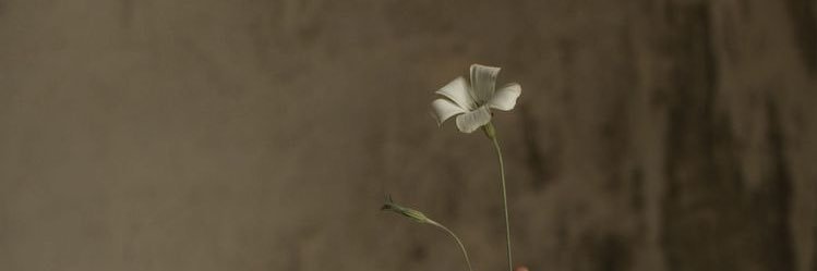 m0ly86's profile banner image