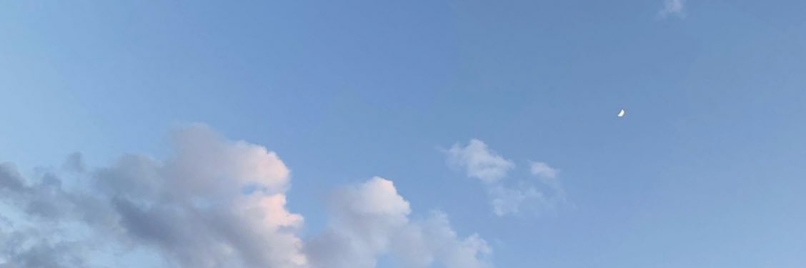 ぴょりん banner