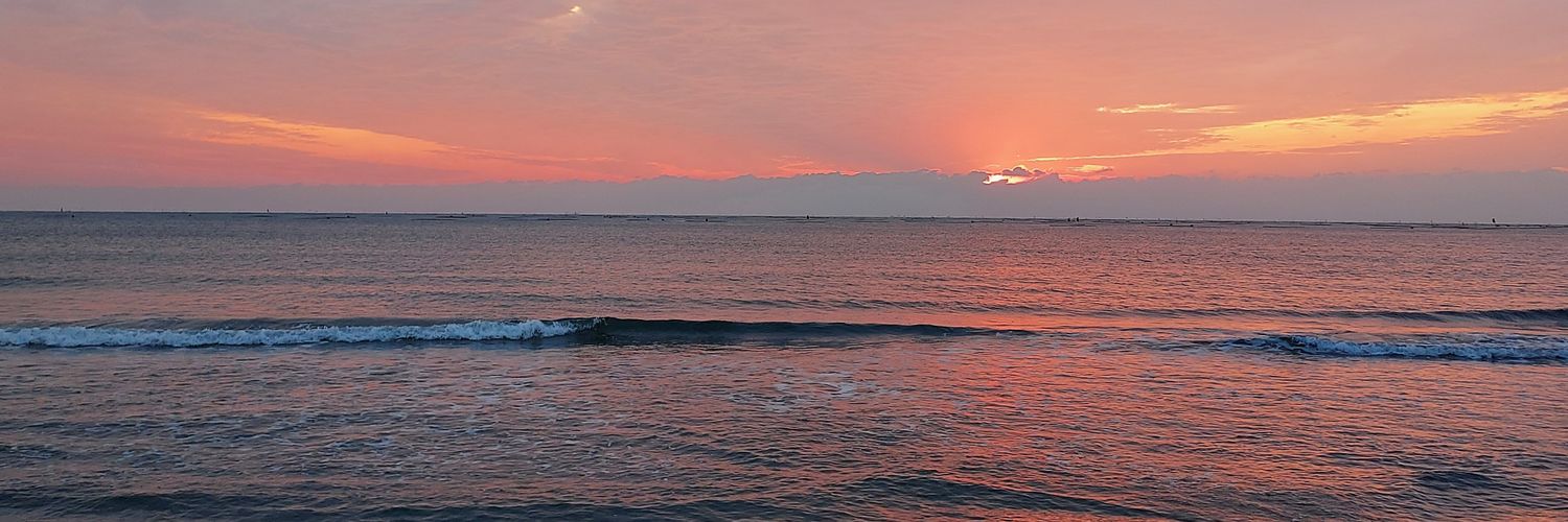 ワハハメロン🍈 banner