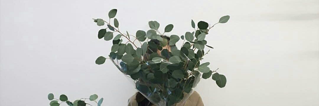 nurkhaliss's profile banner image