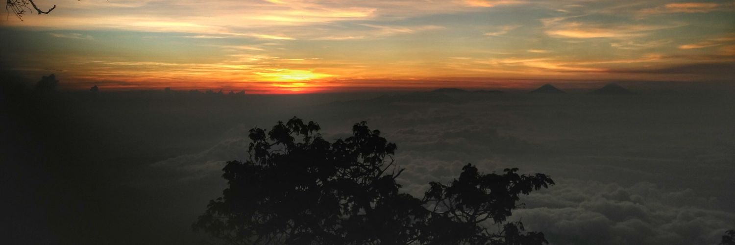 noviardii's profile banner image