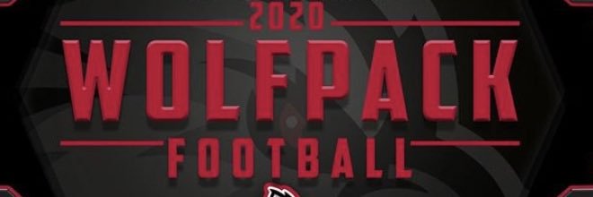 davin cropper banner