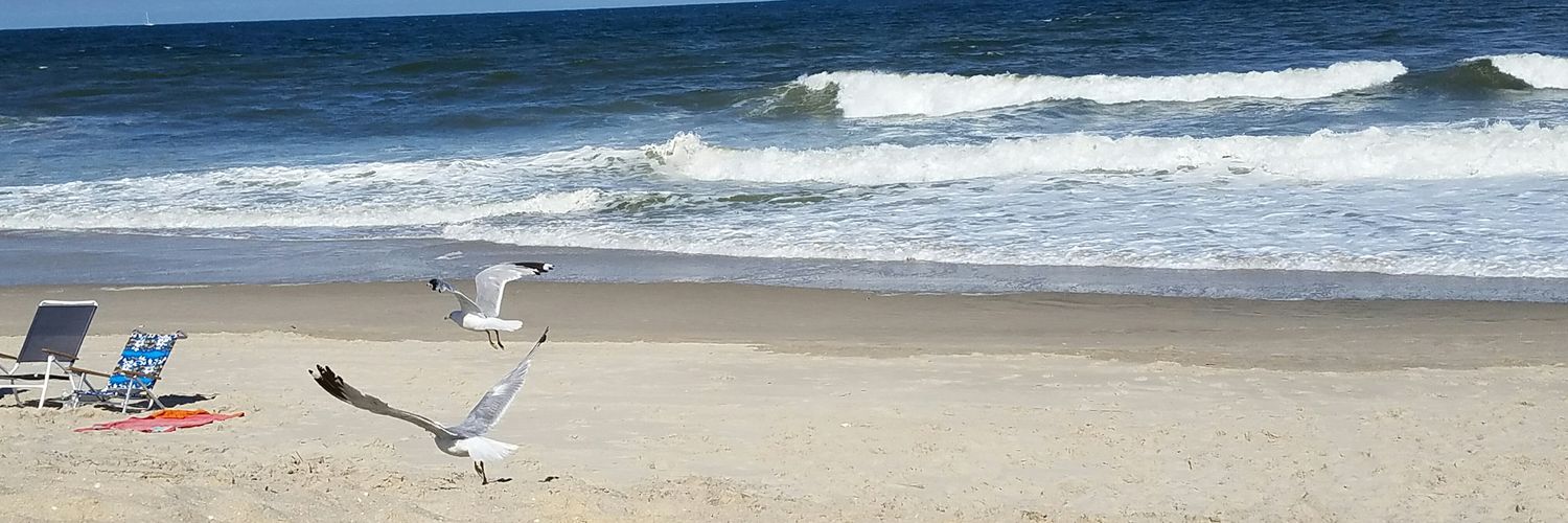 Cherylabc's profile banner image