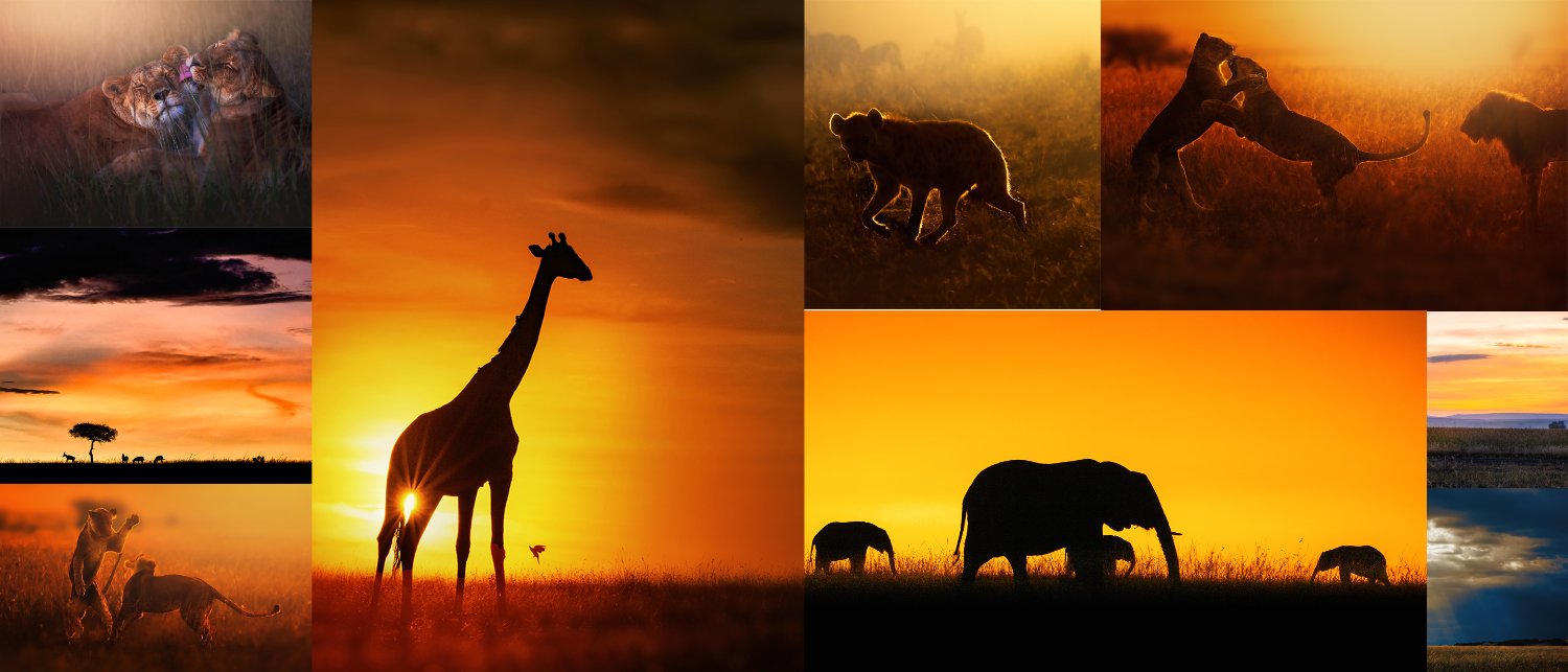 🪬dr.dash.eth 🪬- NFT NYC 2023 banner