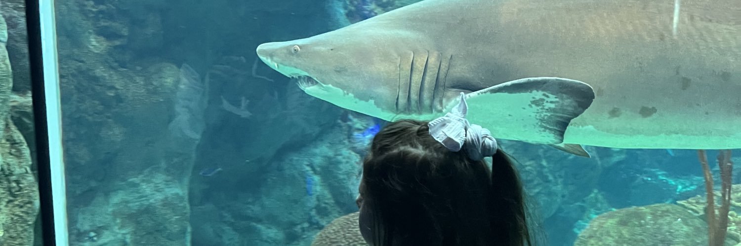 Andrea B Popielarz banner