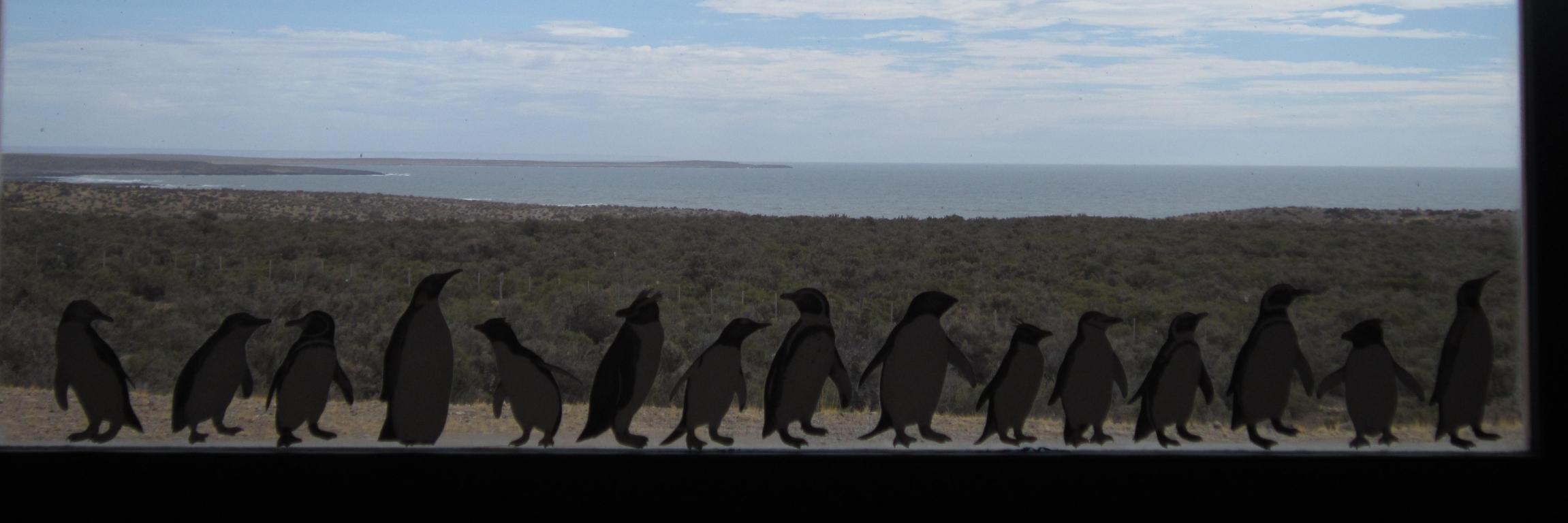 Jacko González-Garcés banner