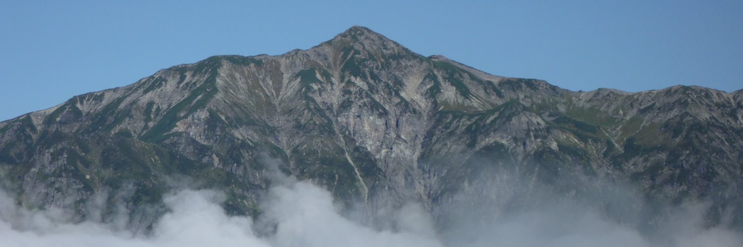 sfmanj's profile banner image