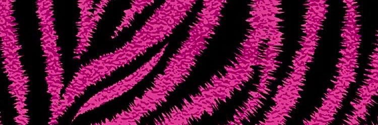 𝙣𝙤𝙨𝙚𝙞𝙡𝙡𝙤 banner