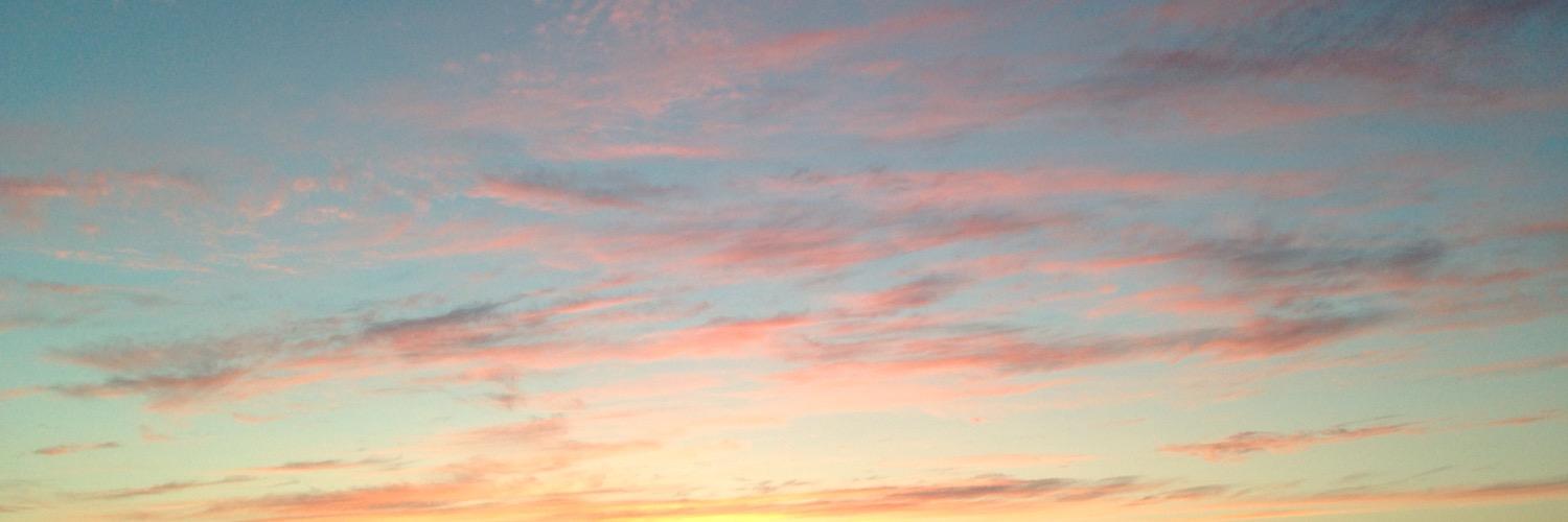 laprovini's profile banner image