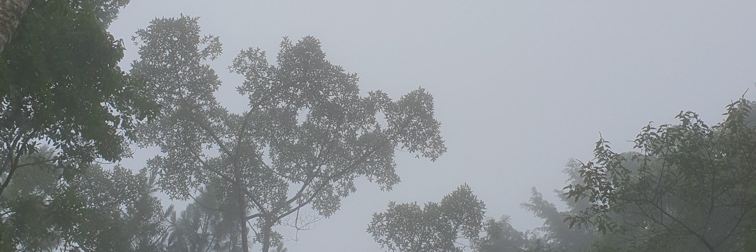 Inês d'Avena banner