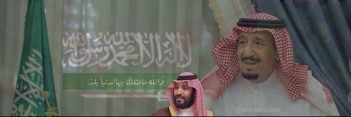 لولي.. banner
