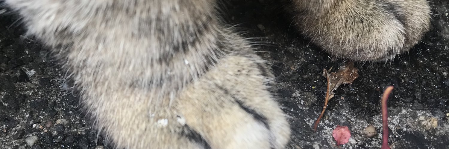 slayva69's profile banner image