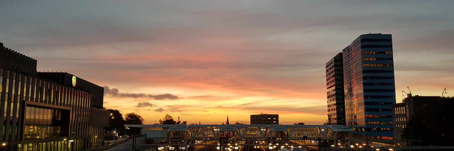 Rutger Voorrips banner
