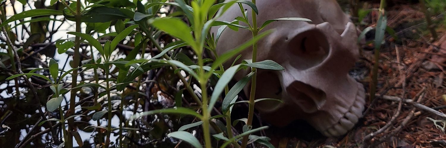 James Wosochlo banner