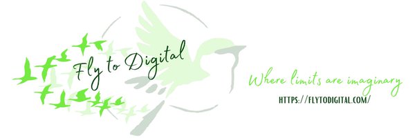 FlyToDigital1 Profile Banner