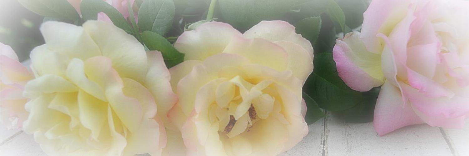 Linda Nortje banner