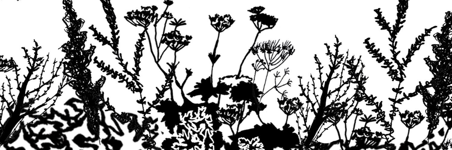 JulieWDesigns's profile banner image