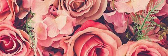 lupesan07's profile banner image