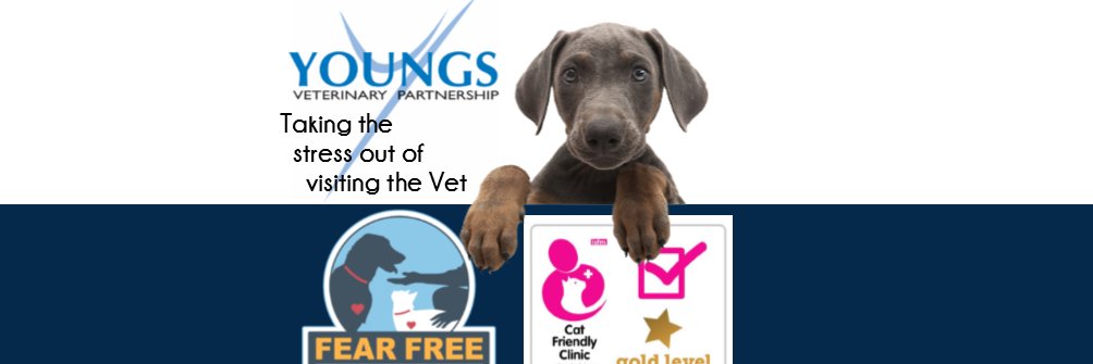 Youngs Vets banner