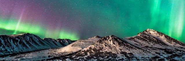 District 8 Neonatal banner