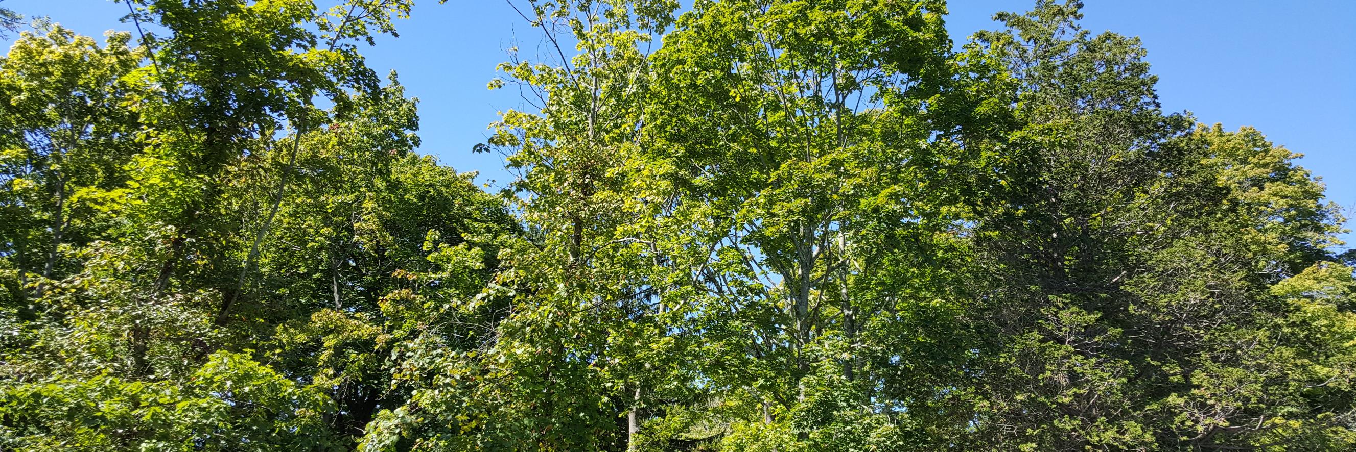 Dee_57's profile banner image
