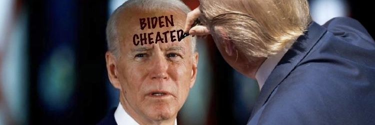 Trump Won 🇺🇸 banner