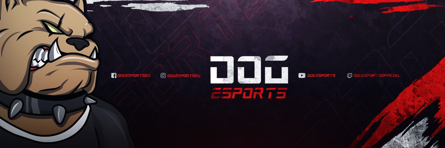 DOGEsportsEU's profile banner image