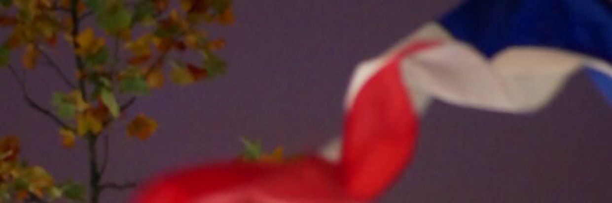 syrianette's profile banner image