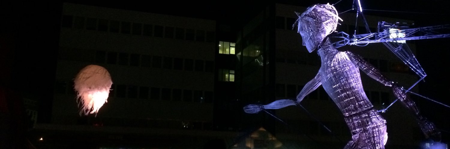 Ann Pinson banner