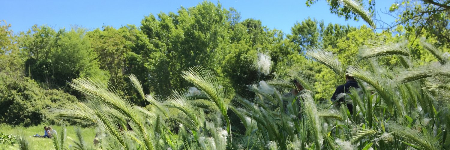 Rocknknit's profile banner image