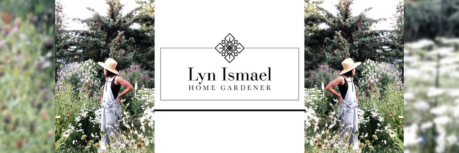 lynismael's profile banner image