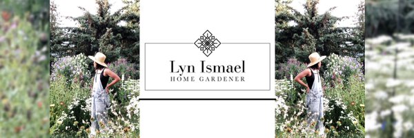Lyn Ismael-Bennett Profile Banner
