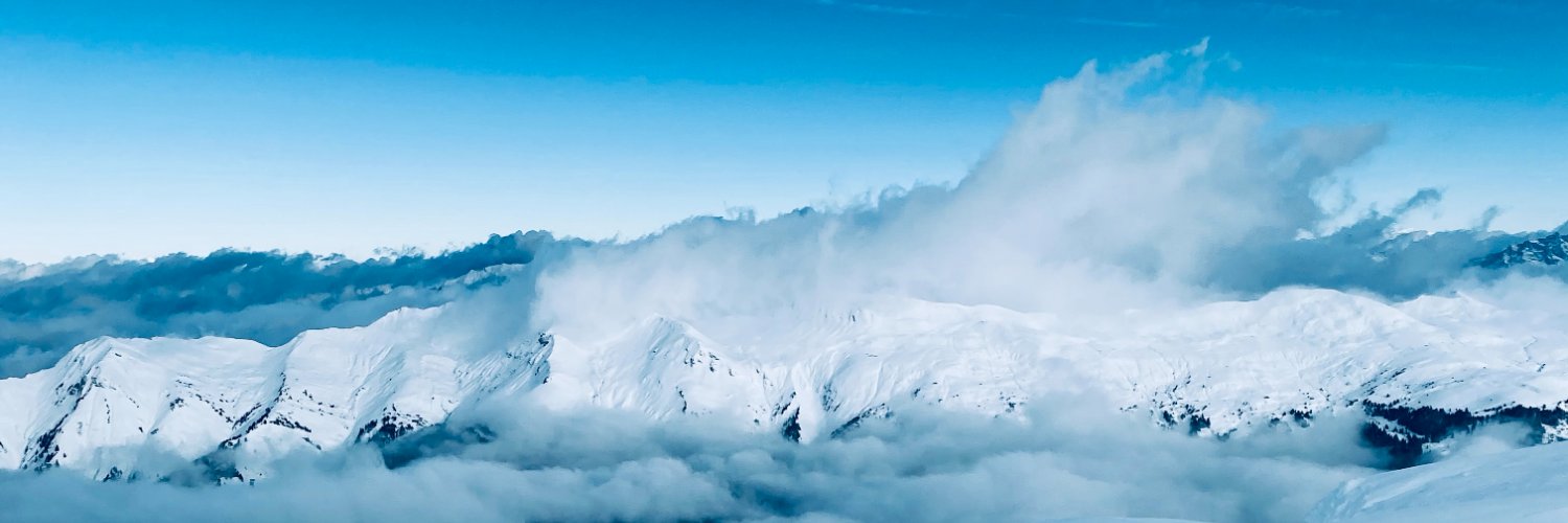 Robin Schoenbaechler banner