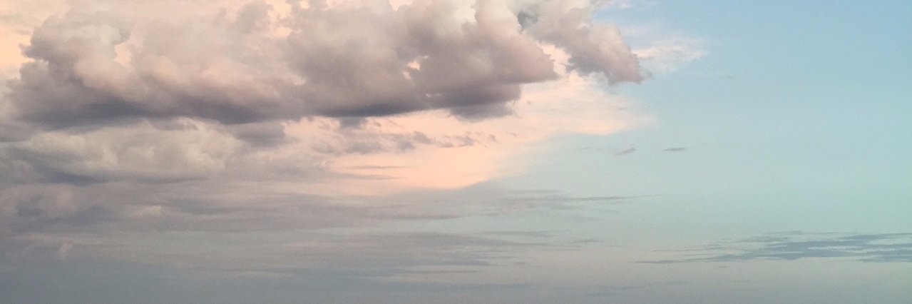 Susan Forrester banner