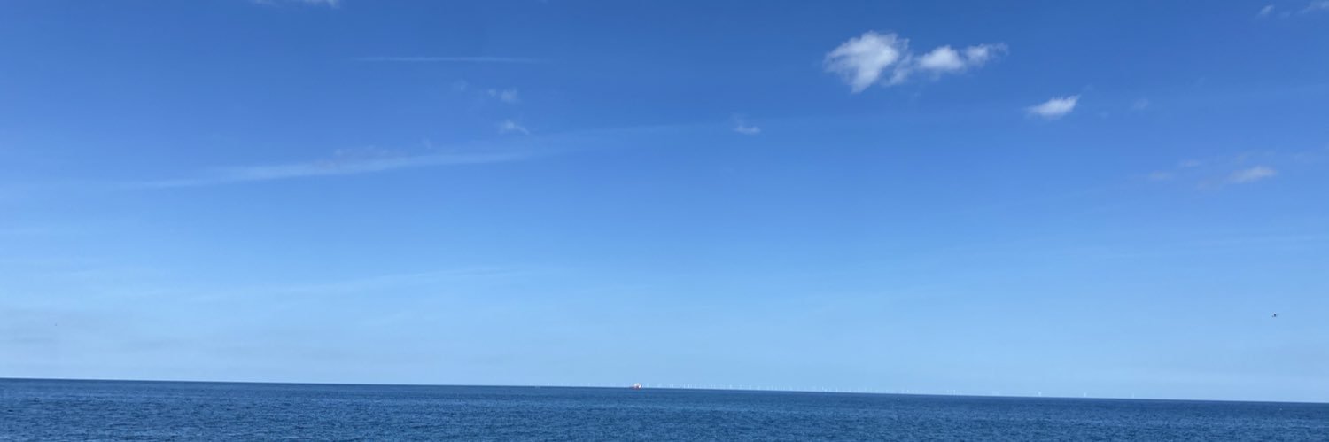 Victoria Phillips banner