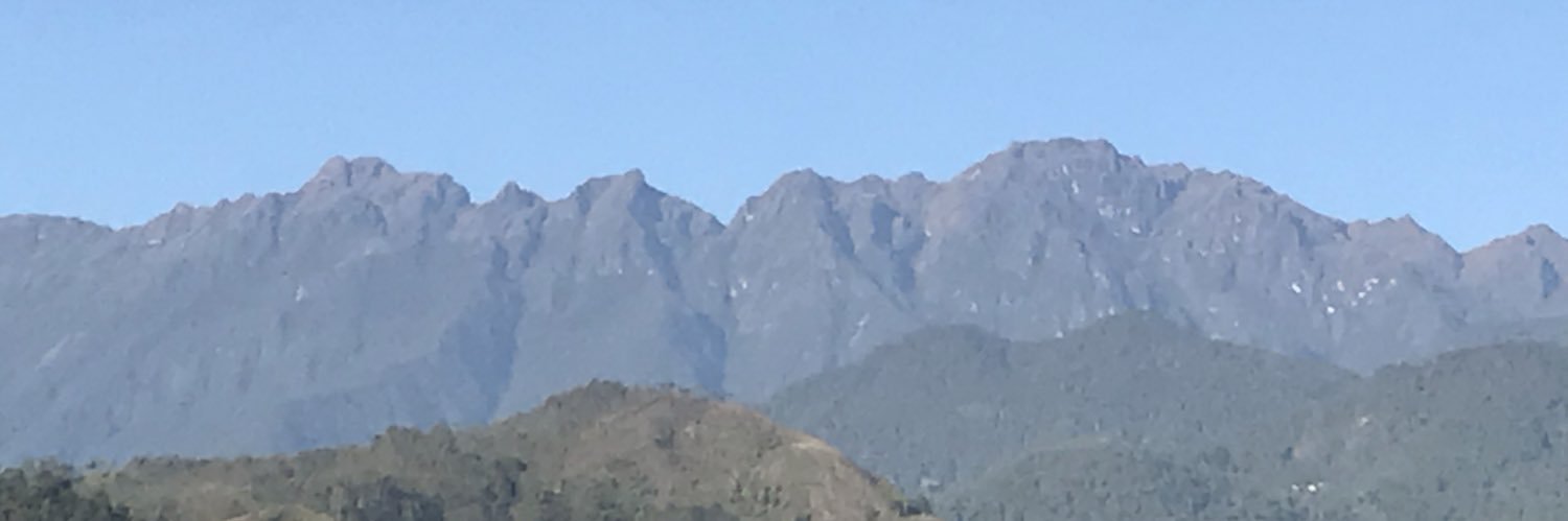 luisrodevia 🏄‍♂️ banner