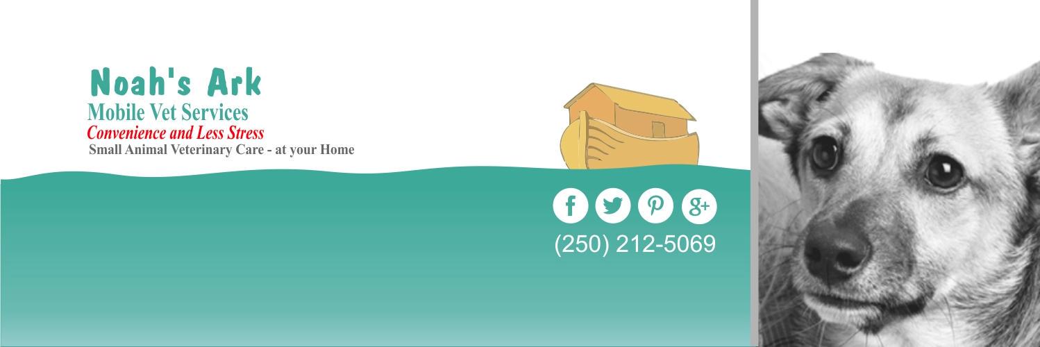 noahsarkmobile's profile banner image