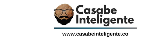 casabeintelignt Profile Banner