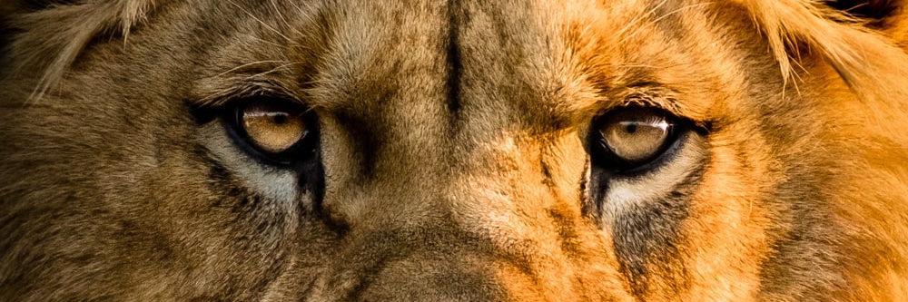 BiGMaTT405's profile banner image
