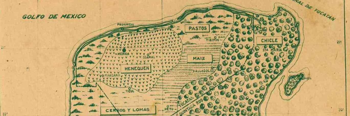 memitoyucatan's profile banner image