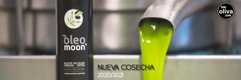teleoliva's profile banner image