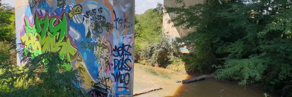 michelleryanphd Profile Banner