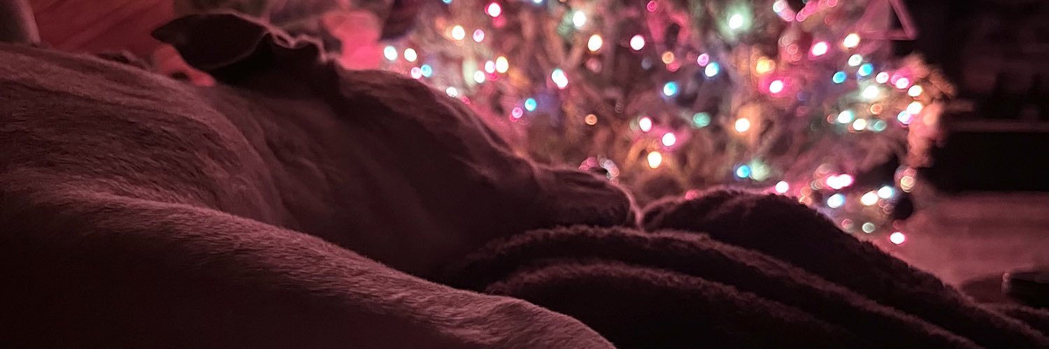 barlowwillis's profile banner image