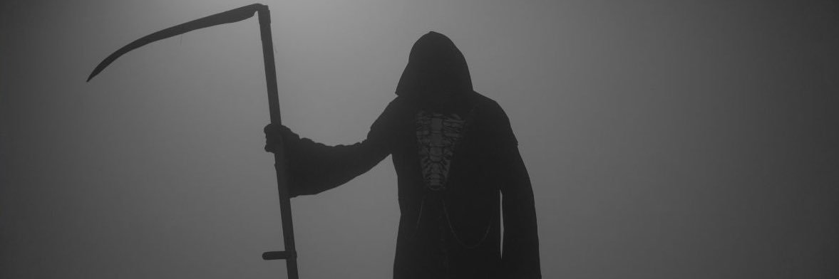 stankele's profile banner image