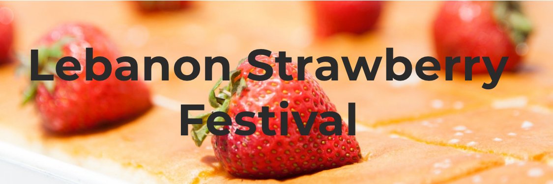 lebstrawfest's profile banner image