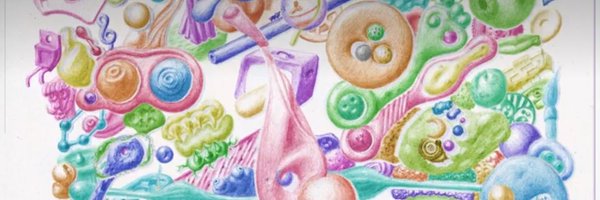 deeperflows Profile Banner