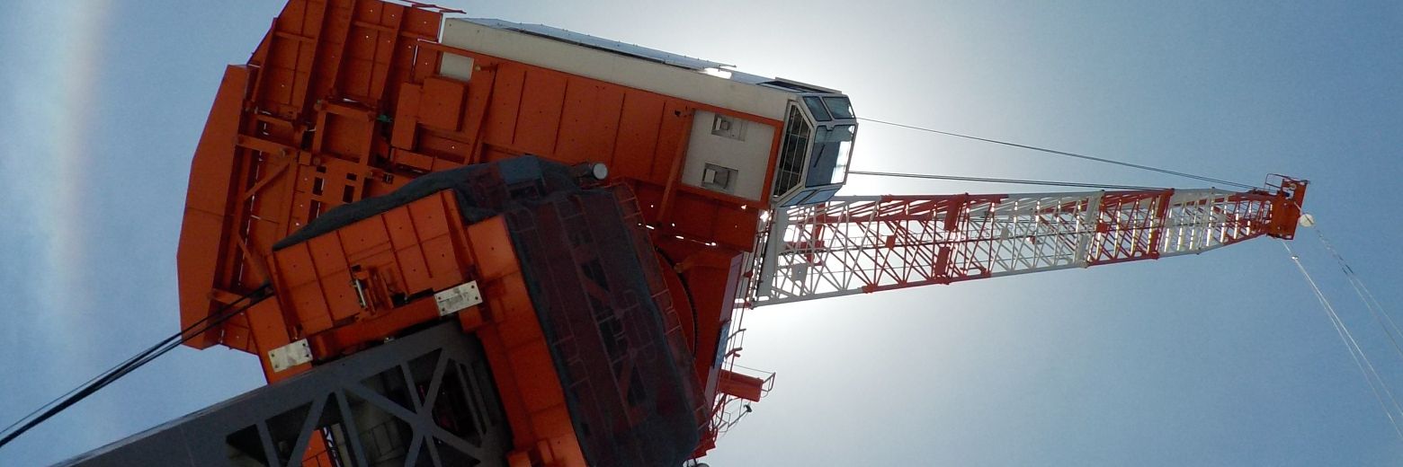 docomodake60's profile banner image